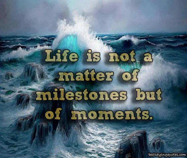 Love Life Quotes